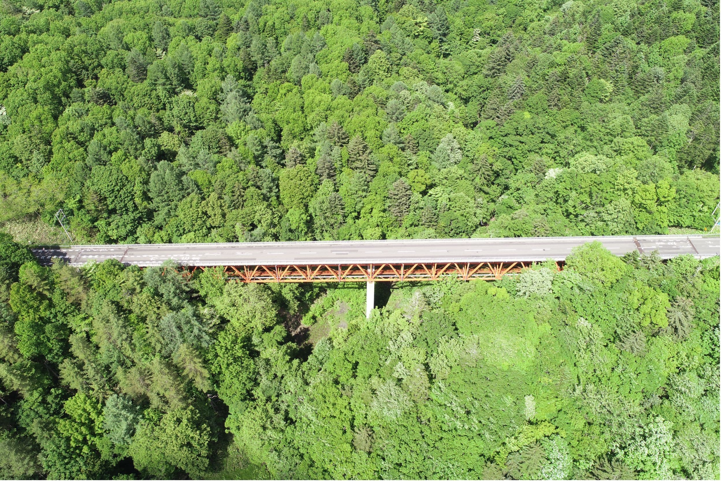 dji_0077.jpg