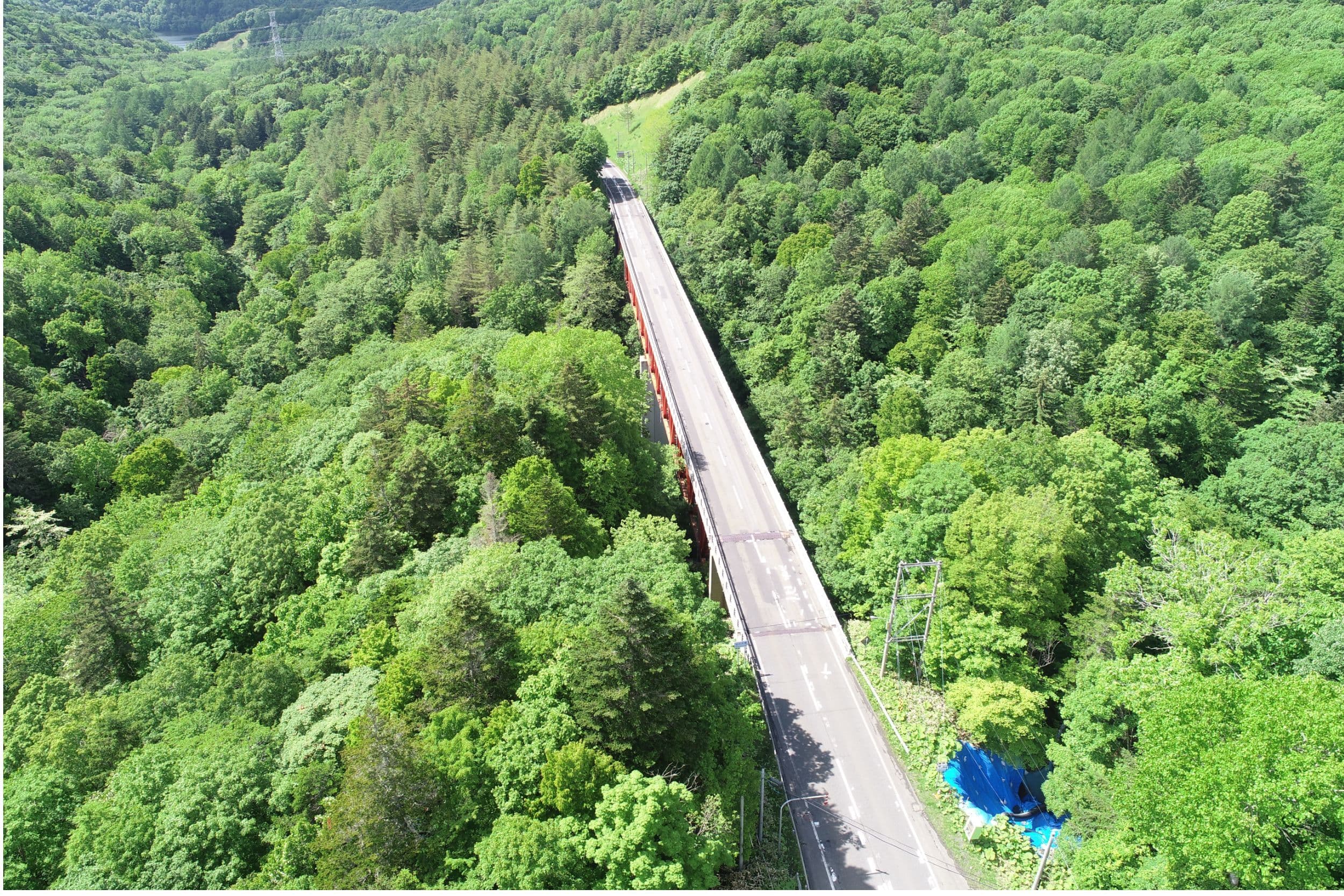 dji_0073.jpg