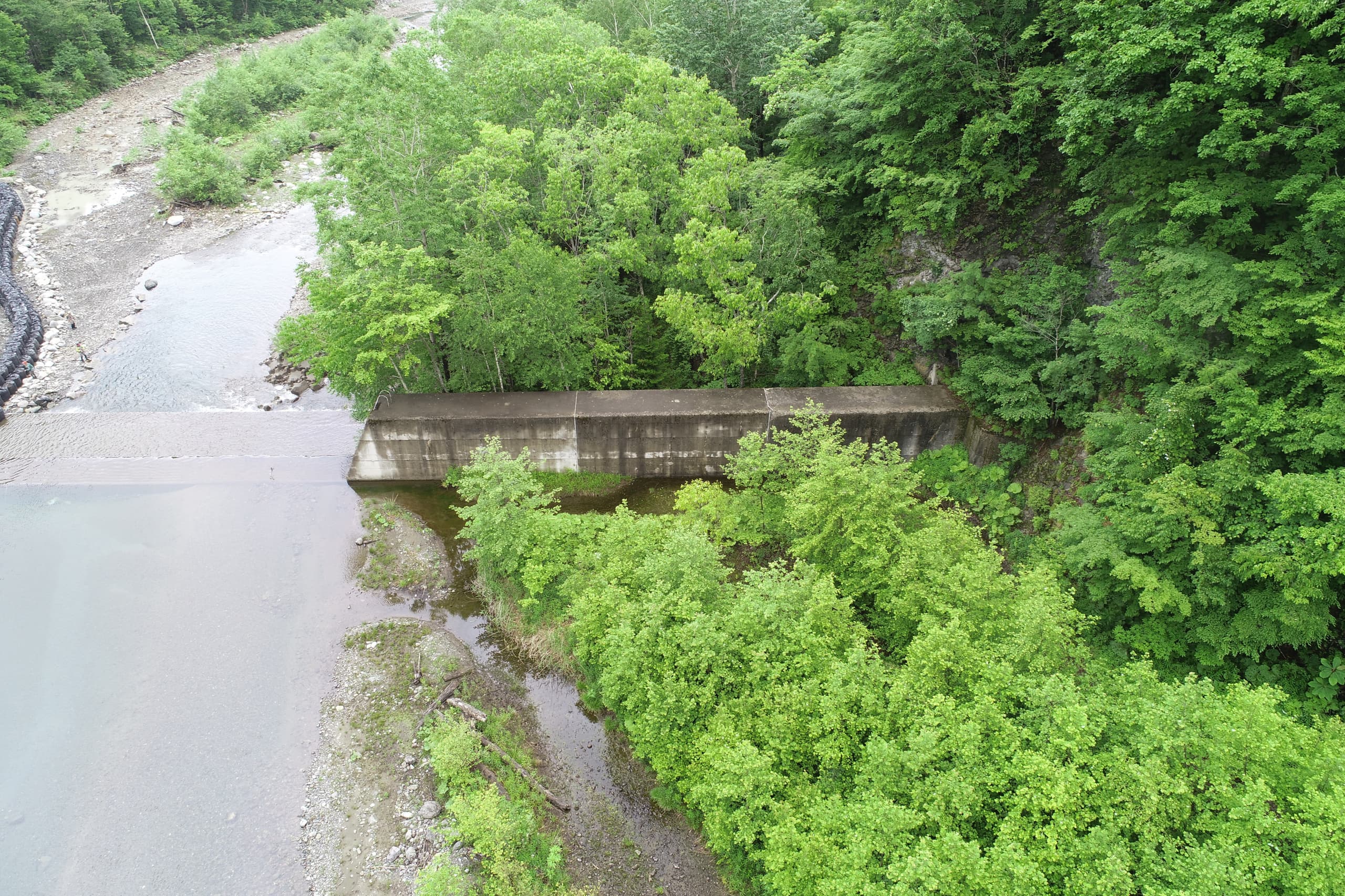 dji_0066.jpg